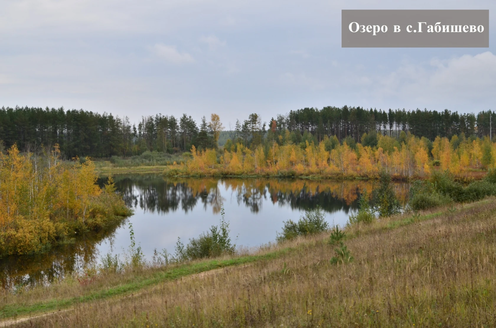 complex-image