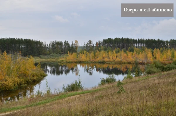 complex-image