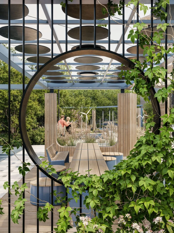 complex-image